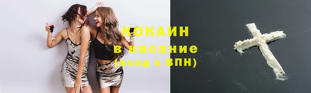 прущие крисы Аркадак