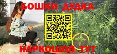 ГАЛЛЮЦИНОГЕННЫЕ ГРИБЫ Балаково