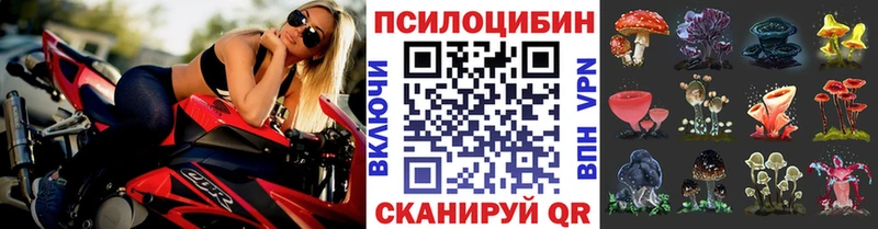 мориарти какой сайт Балахна Псилоцибиновые грибы прущие грибы