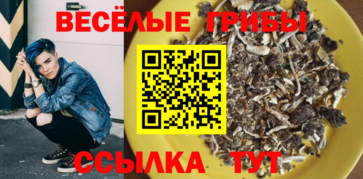Псилоцибиновые грибы ЛСД Балахна