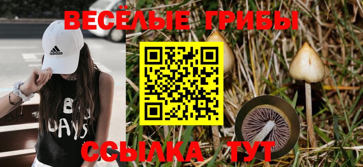 Галлюциногенные грибы GOLDEN TEACHER  Вход с VPN  Псилоцибиновые грибы MAGIC MUSHROOMS  Балахна 