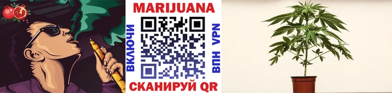 МАРИХУАНА SATIVA & INDICA  закладки  Балахна 